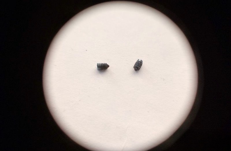 Two shallow screws removed from lens assembly