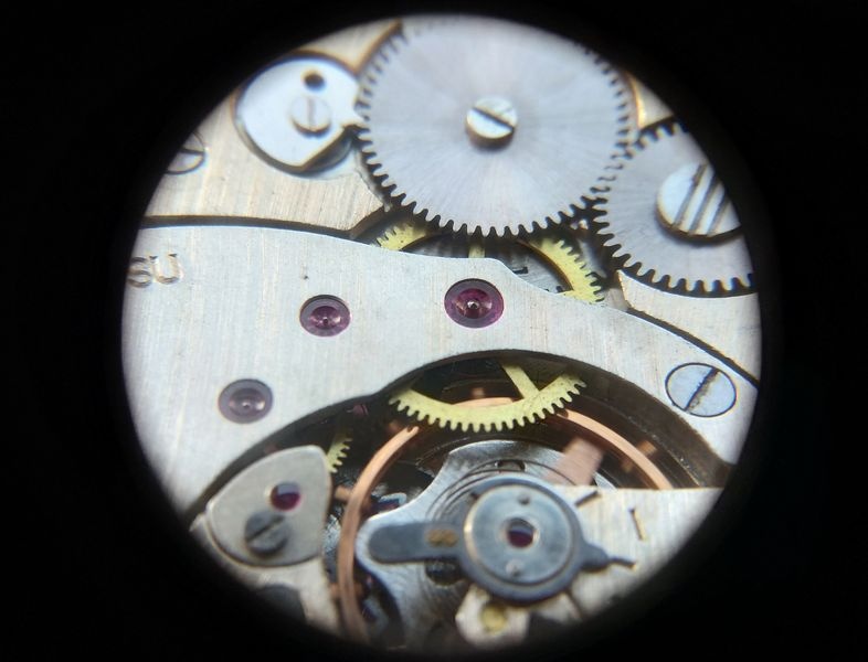 Close-up of press-fitted jewels in bridge
