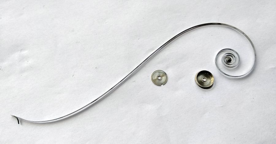 Mainspring removed from the barrel and relaxed into an S shape, beside the barrel and lid