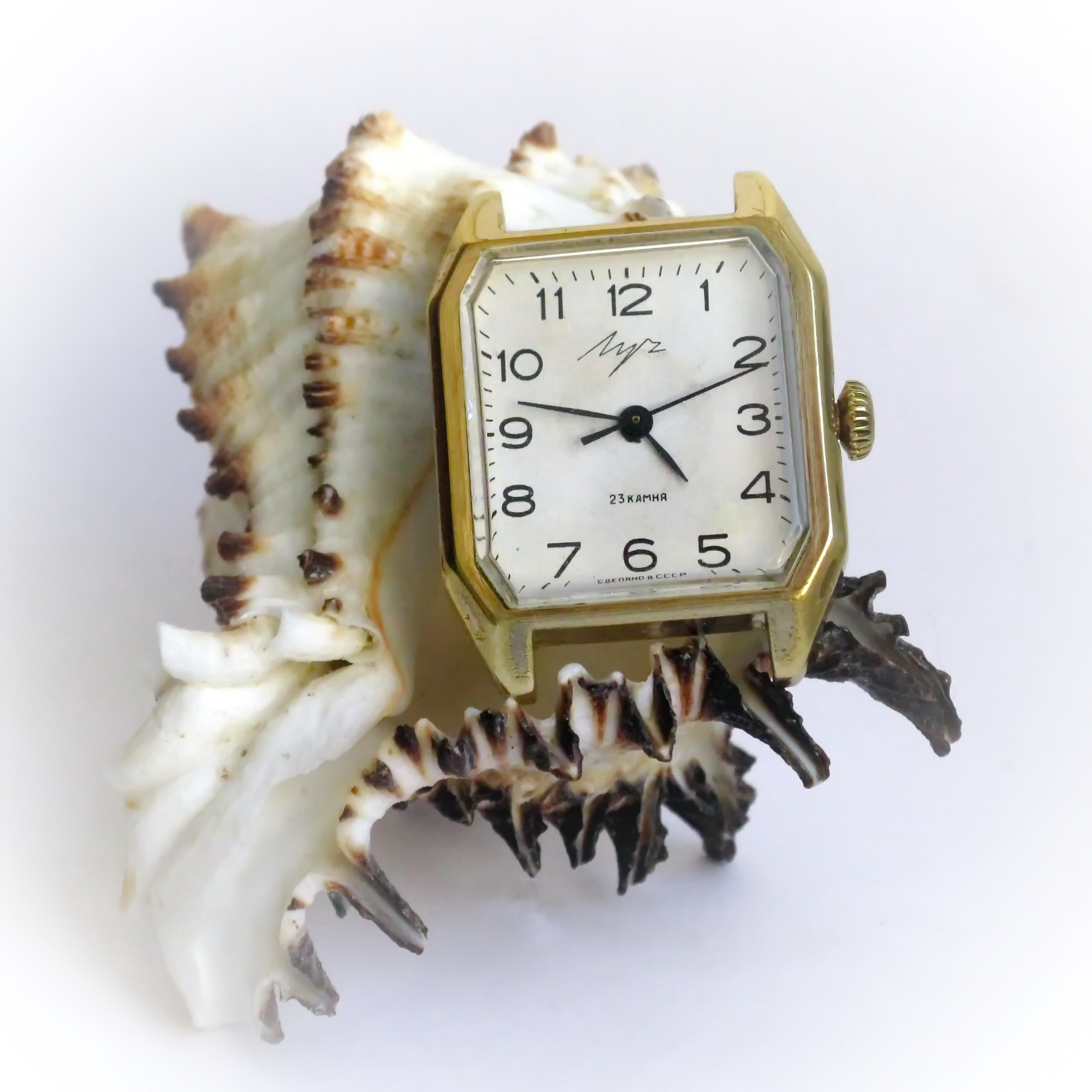 The finished gold-plated rectangular Luch watch resting on a seashell.