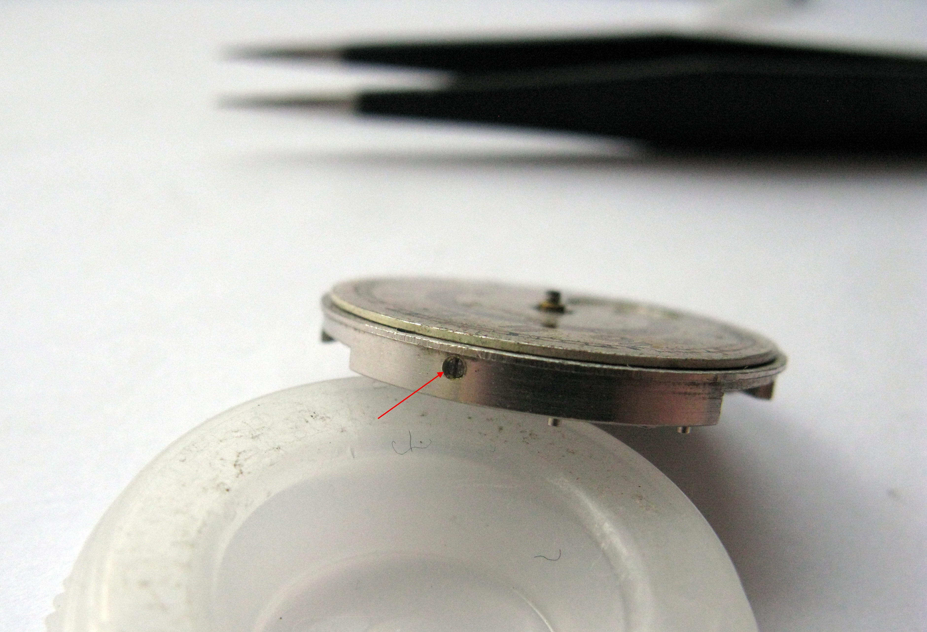 The edge screws on the mainplate that secure the dial.