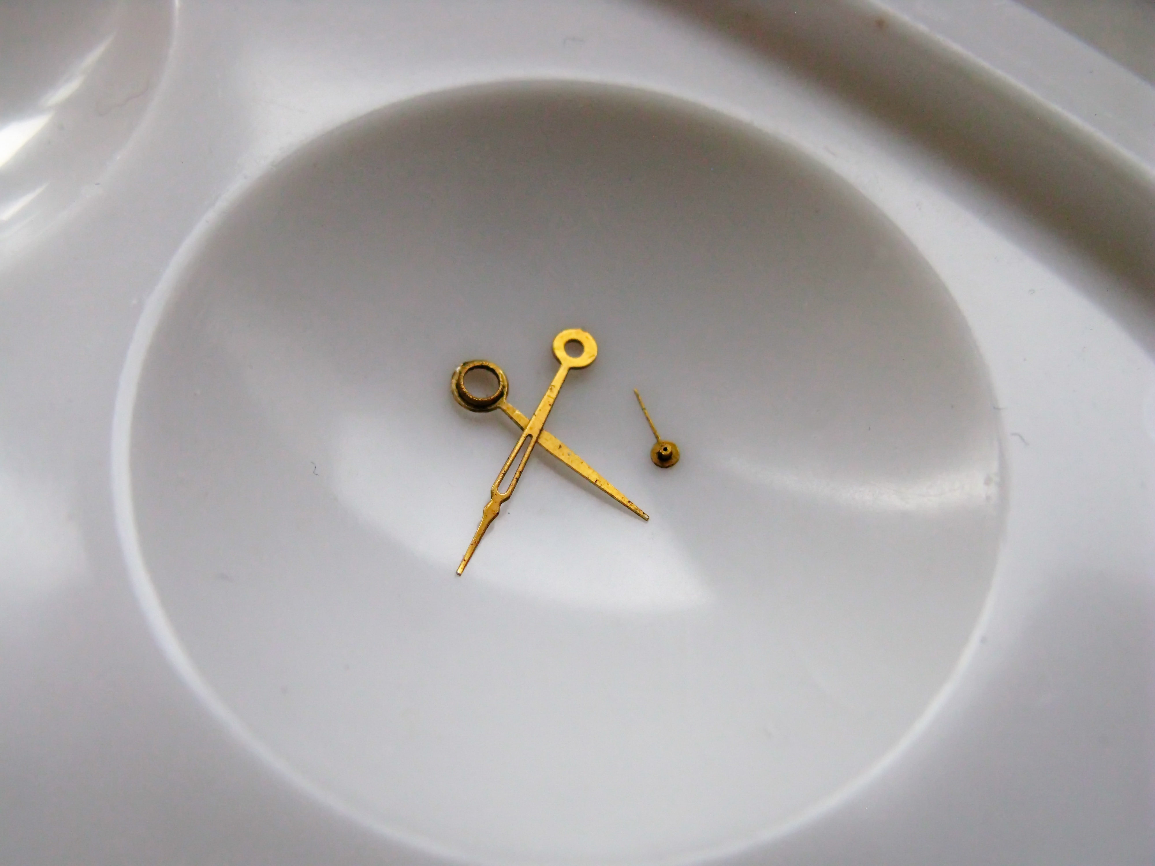 The removed hands laid carefully into the cell of a parts tray.