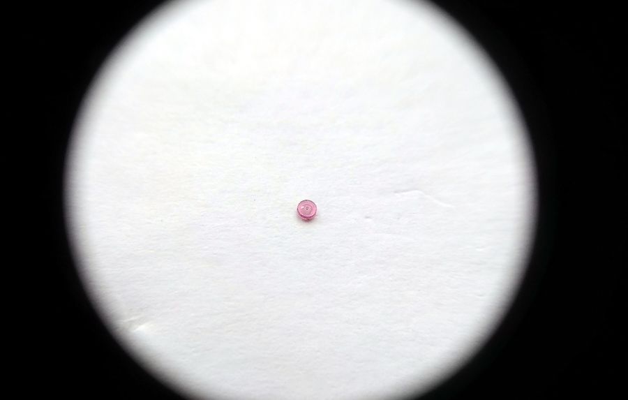 The donor jewel successfully pressed out of its setting