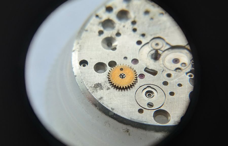 The minute wheel shown from the arbor side with its pressed-in pivot