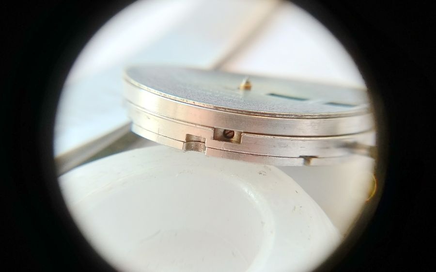Dial securing screws