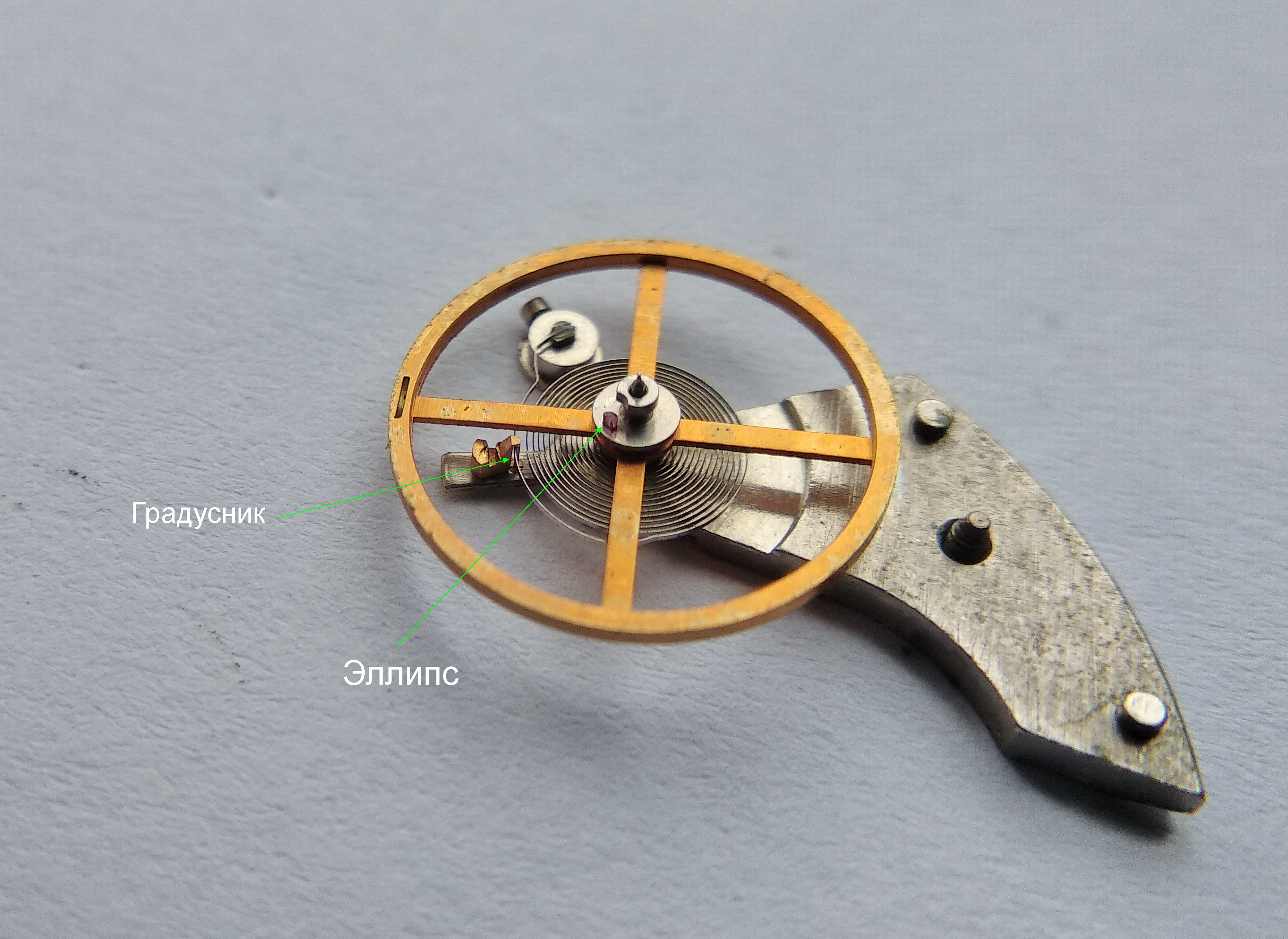 Close-up of the balance showing the regulator curb pins and the impulse roller jewel