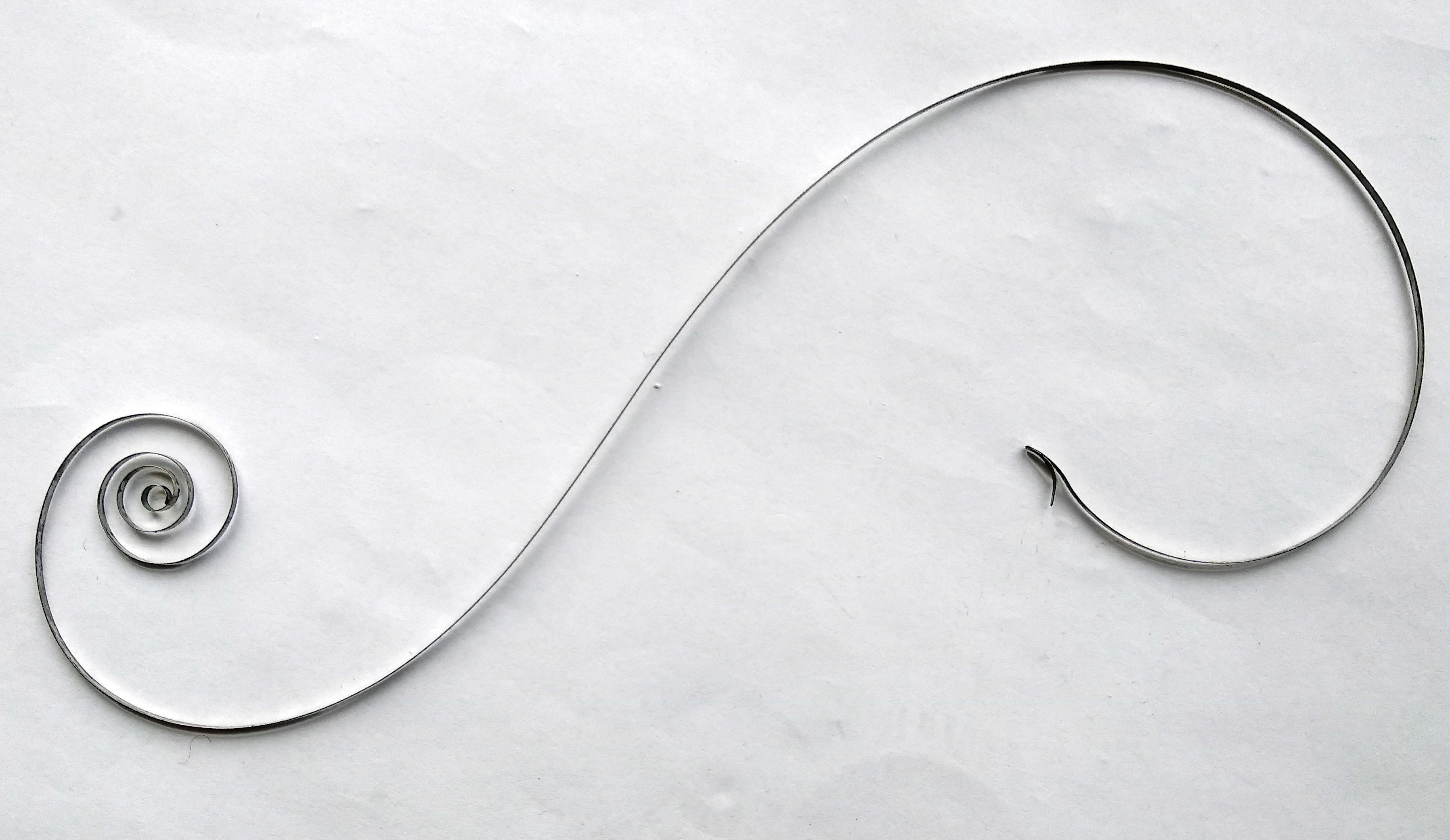 The S-shaped mainspring uncoiled, showing its reverse-curved form