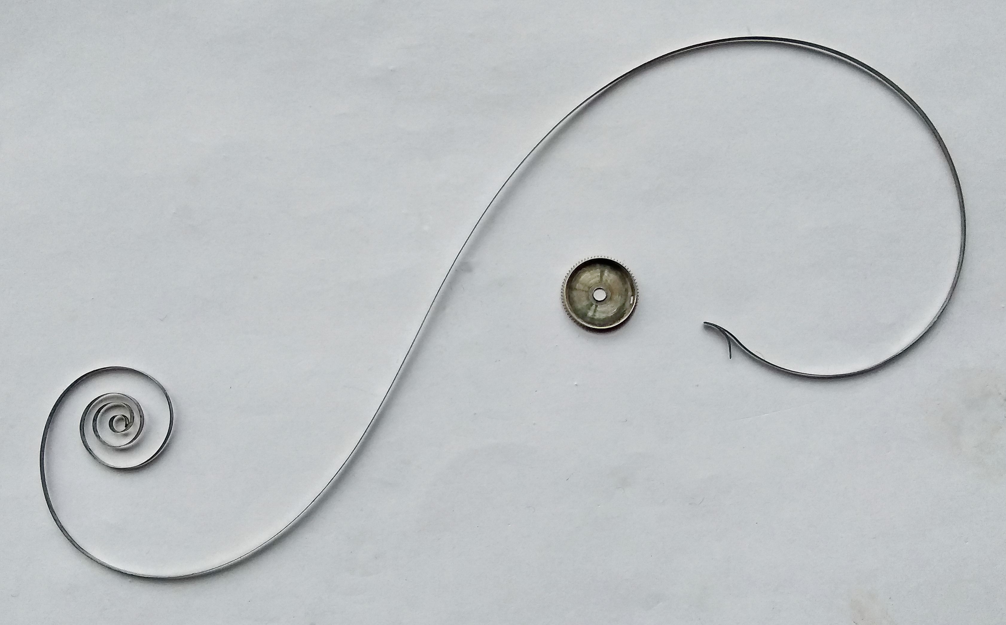 Mainspring fully removed from the barrel, the two laid side by side