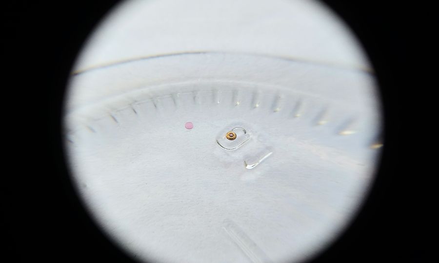 The shock setting separated in cleaning fluid into the chaton-mounted through-jewel and the cap jewel