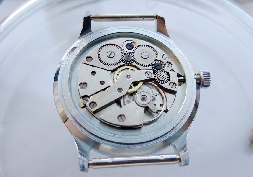 Movement visible before case back closure
