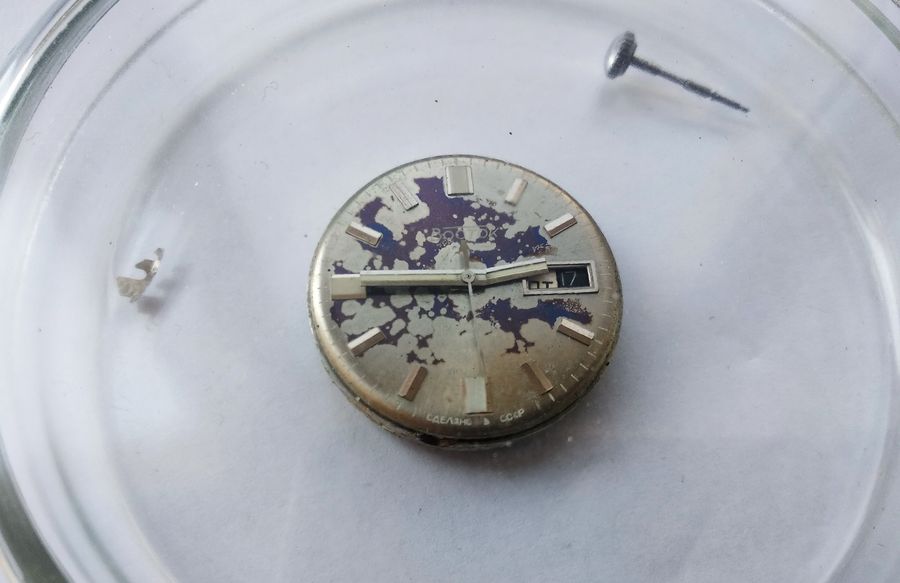 The movement set aside under a Petri dish for protection