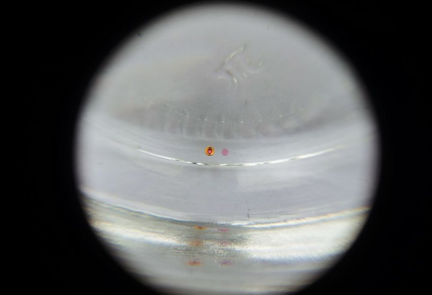 The balance bushing separated in benzine into its chaton-set through-jewel and cap jewel