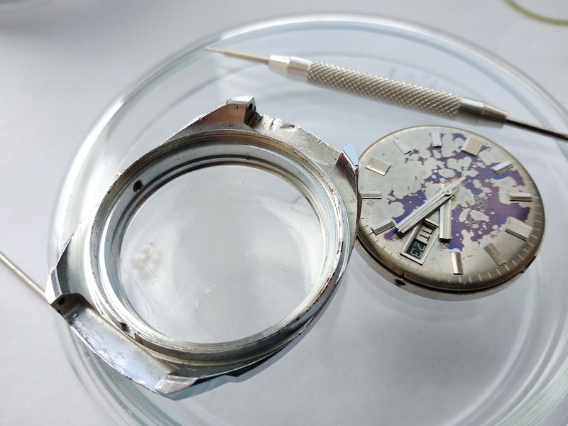 The cleaned interior of the watch case