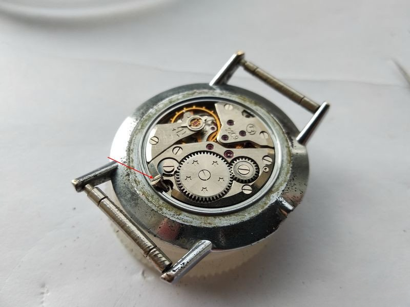 Two case screws securing movement