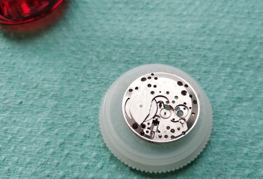 The cannon pinion installed at the center of the dial-side plate