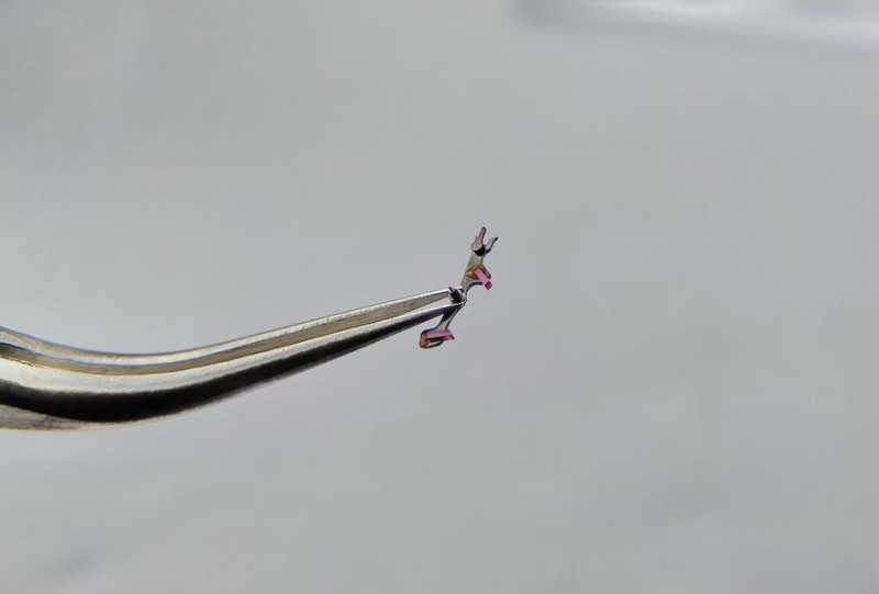 Assembling escapement with lubricated pallet fork