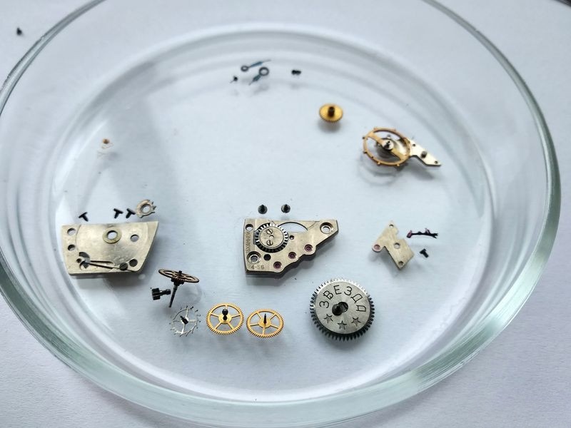Watch parts soaking in cleaning solution