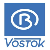 Vostok Watches: From Soviet Legacy to Modern Durability