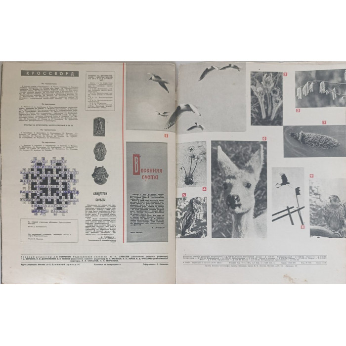 Ogonyok Magazine Issue 19 from May 1964: Highlights Ahmed Ben Bella's Moscow Visit