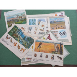 Set Vintage Animal Posters 17pcs Sketchbook for Logic Exercises USSR 1970