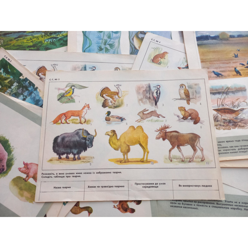 Set Vintage Animal Posters 17pcs Sketchbook for Logic Exercises USSR 1970 Set Vintage Animal Posters 17pcs Sketchbook for Logic Exercises USSR 1970