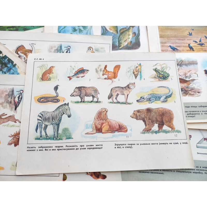 Set Vintage Animal Posters 17pcs Sketchbook for Logic Exercises USSR 1970 Set Vintage Animal Posters 17pcs Sketchbook for Logic Exercises USSR 1970