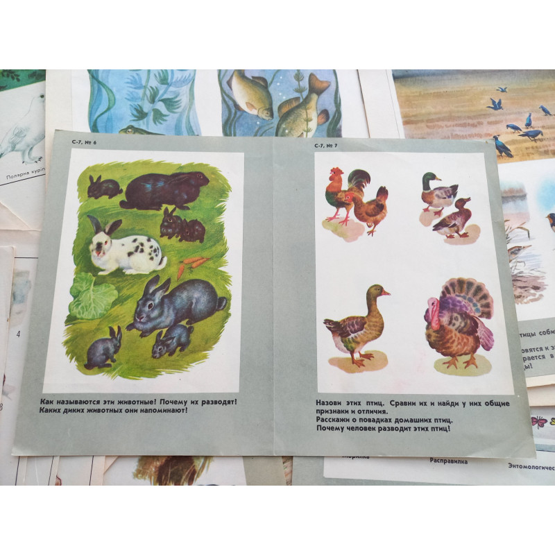 Set Vintage Animal Posters 17pcs Sketchbook for Logic Exercises USSR 1970 Set Vintage Animal Posters 17pcs Sketchbook for Logic Exercises USSR 1970