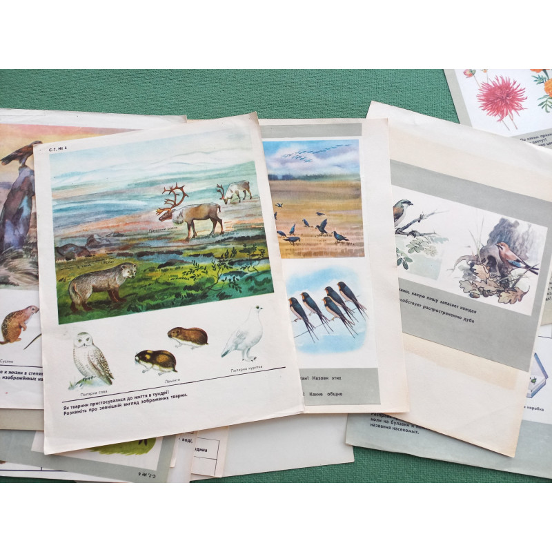 Set Vintage Animal Posters 17pcs Sketchbook for Logic Exercises USSR 1970 Set Vintage Animal Posters 17pcs Sketchbook for Logic Exercises USSR 1970