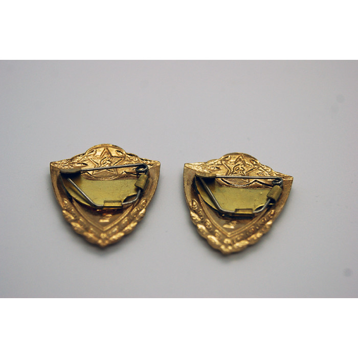 SOVIET ARMY Proficiency badge 1st class Made of brass and enamel 2 pieces