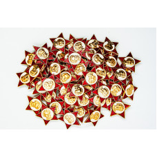 SOVIET pins OCTOBER CHILD LENIN in a pentagonal star Leninsky Oktyabrenok