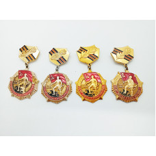 Anniversary SOVIET badge of 20-25 years victory in the GREAT PATRIOTIC war